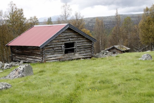 Løer må tas godt vare på. Med skikkelig tak er mye gjort. Her fra Søre Moen-setra.  Foto Bjørn Brænd