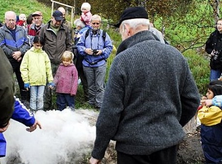 Mila er tettet og temt. Foto Peter Bontrop