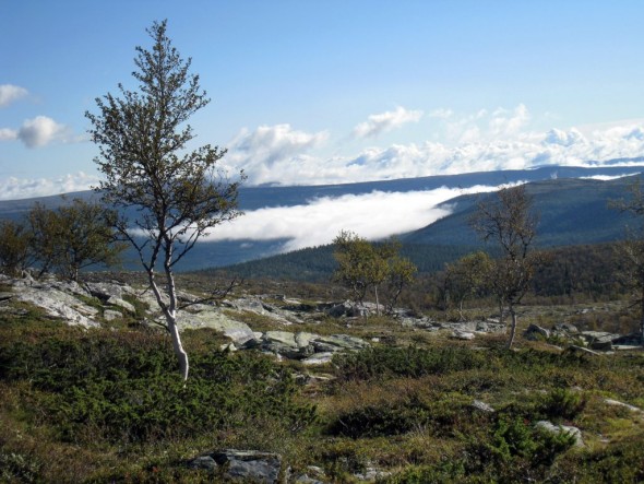 Det velkjente landemerket Rendalssølen er borte i skyene. Foto Tone Iren Eggen