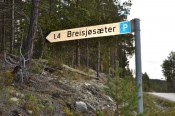 Bilde av DSC_0277 foto Ida Løchen
