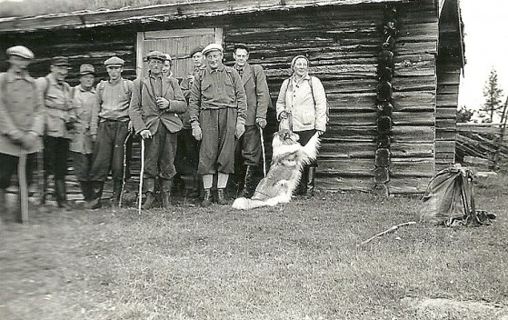 Bilde av sauleting 1955 Foto Rolf Øvergaard