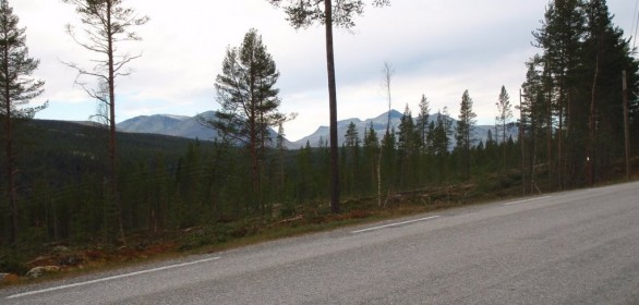 Bilde av Rondane der det dukker opp langs vegen like neda Fjelltun. Foto Hans Sollid
