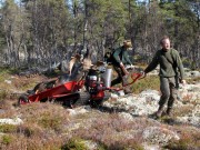 54 dyr felt til nå under elgjakta