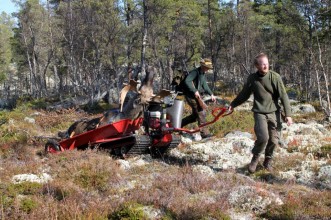 Bilde fra elgjakt. Foto Bjørn Brænd