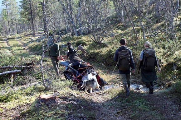 Bilde av siste reis. Foto Bjørn Brænd