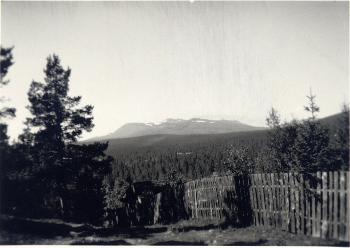 Utsikt nord-vestover mot Gravskarhøgda. Bildet er tatt i 1938. Foto utlånt av fam. Nielsen 