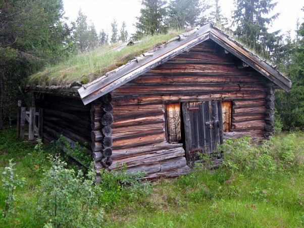 Bilde avløa. Foto Hans Sollid