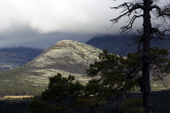 Utsikt fra tomt i Blåfjellia foto Jørn Areklett Omre