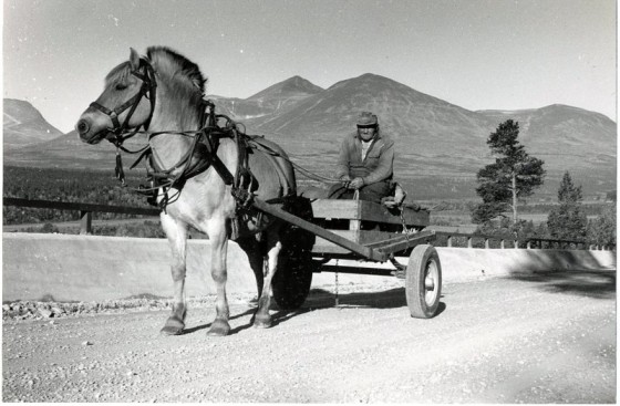 Bilde av Ragnhild og Oline Moen 1957