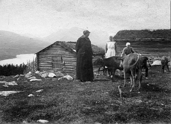 Bilde fra Systu-setra på Sjølisetra fotograf ukjent