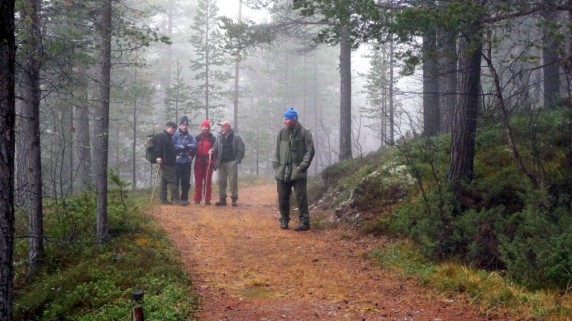 Bilde av Gamlevegen i  Atndalen vandring i skodde. Foto Kari Sunde