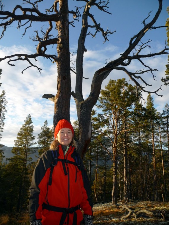 Bilde av Gamlevegen i Atndalen nederlanske i en herlig setting. Foto Kari Sunde