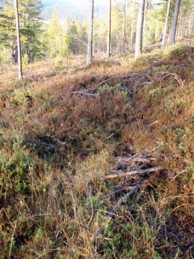 Bilde av gammelgammelevegen gjeonnom Atndalen. Foto Hans Sollid