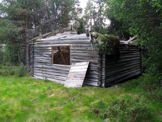 Bilde avløa på Kirkestusetra. Foto Hans Sollid