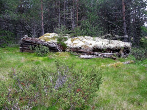 Bilde av restene av seterstua på Ingridstusetra. Foto Hans Sollid