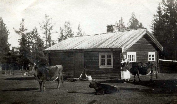 Bilde av Mostua med gamle Olea Mostuen1837 - 1918. Foto utlånt av Ulf Helgesen