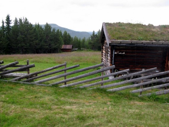Bilde av setervollen på Seterssetra. Foto Hans Sollid