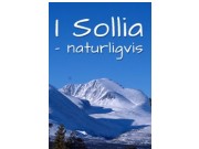 sollia.net fikk støtte