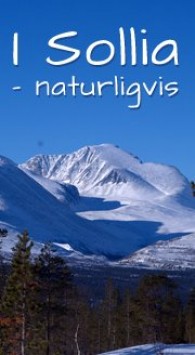 i sollia naturligvis foto Jo Øvergaard