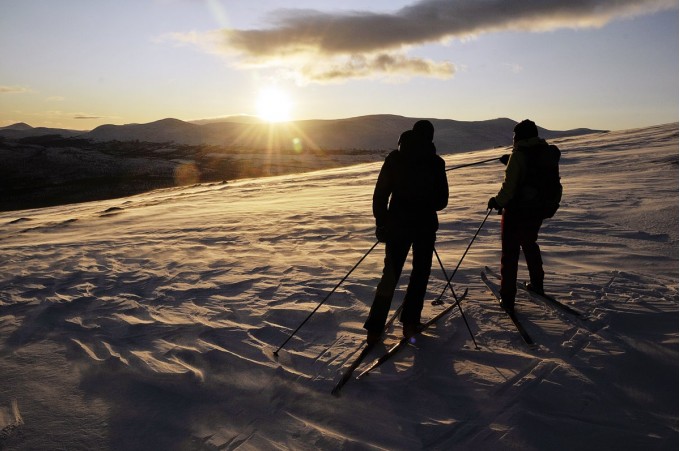 Bilde av skiløpere i motlys i romjula 2011. Foto Per Bjørkum