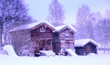 Bilde av stabbura på Amperhaugen 13.januar 2012 foto Jo Øvergaard
