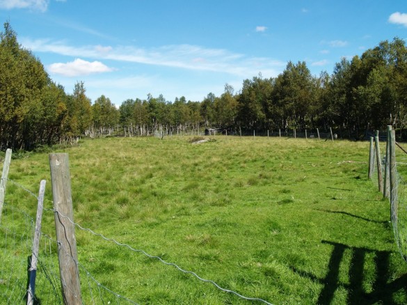 Foto av slåtteeng til Grøtdalssetra. Foto Hans Sollid