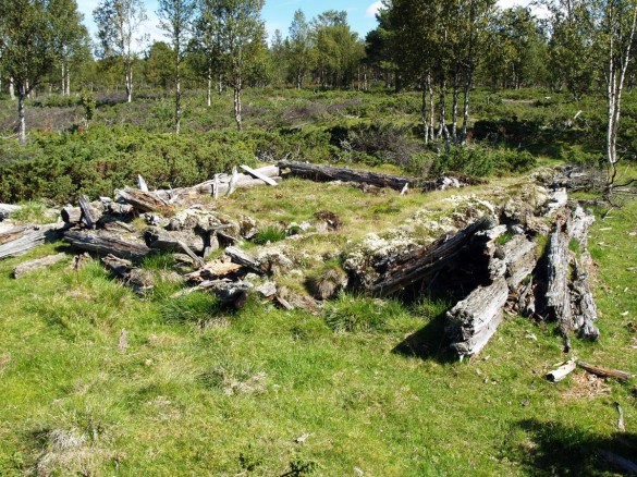 Foto av retsne av Grøtdalssetra. Foto Hans Sollid