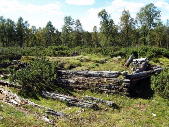 Foto av restene av Grøtdalssetra. Foto Hans Sollid