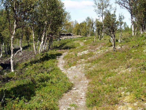 Foto av setervegen opp til Grøtdalssetra. Foto Hans Sollid