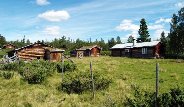 Bilda av Vatnesetra. Foto Hans Sollid