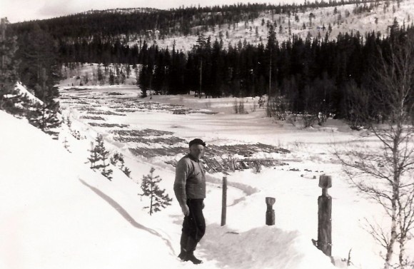 Einar Bjørnersen inspiserer tømmeret på Sæterslona. Ca. 1955. Foto Ambros Sollid