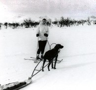 Hundekjøreir Foto Rolf Øvergaard_0001
