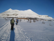 Vinterbilde Foto Håkon Magne Skjøren