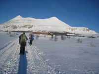 Vinterbilde Foto Håkon Magne Skjøren