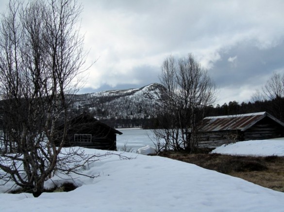 Finnsjøen 20. mai 2012. Foto Mari Røstum