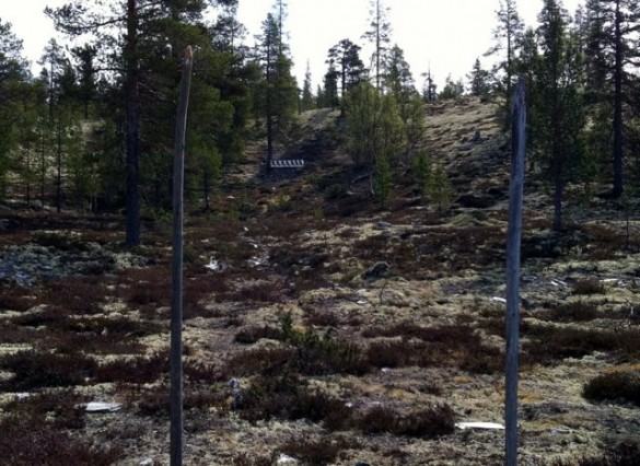 Muligheter for kjeppskyting. Foto Sindija Hemli