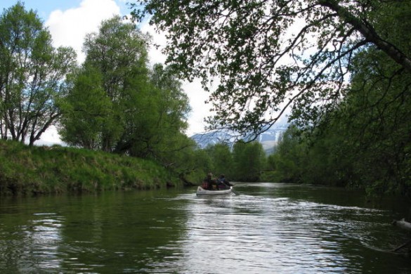 Nord-Atna er den ideelle padeelv for slike turer. Foto Berit Gomnæs