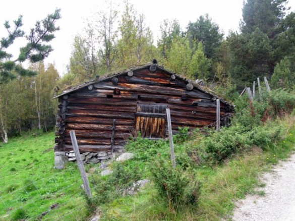 Fjøset på Nordre Moen-setra. Foto Hans Sollid