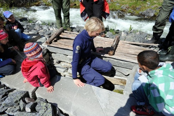 Ved startpkt for turen er det rekunstruert ei fangstgrav for villren foto Jo Øvergaard