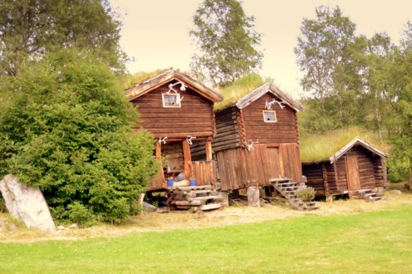 Stabbura på Amperhaugen foto Jo Øvergaard
