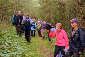 Øverdalsk granskog foto Jo Øvergaard