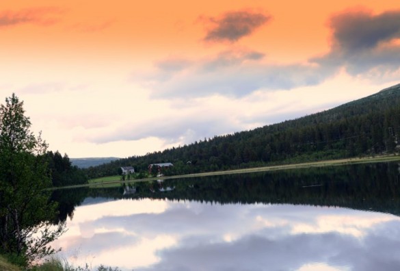 Nedbør og luftstrømmer kan bringe tungmetaller som forurenser Sollia-naturen foto Jo Øvergaard