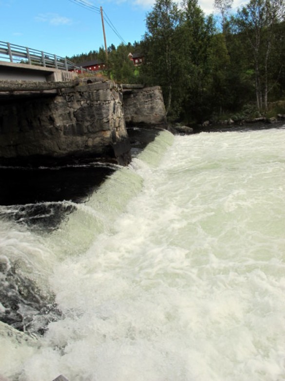 Fossen går i kvitskjorta. Foto Hans Sollid
