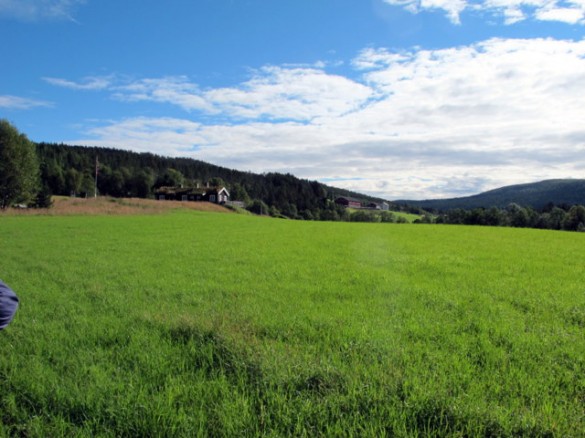 Trøjordet- Foto Hans Sollid