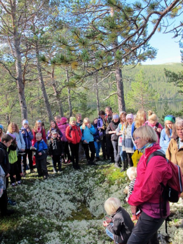 Ei dyregrav ble studert. Foto Hans Sollid