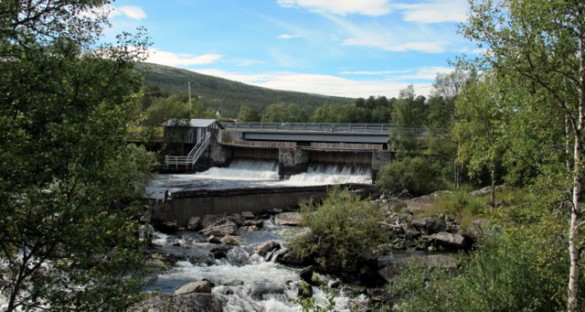 Før damsleppet. Foto Martin Holte