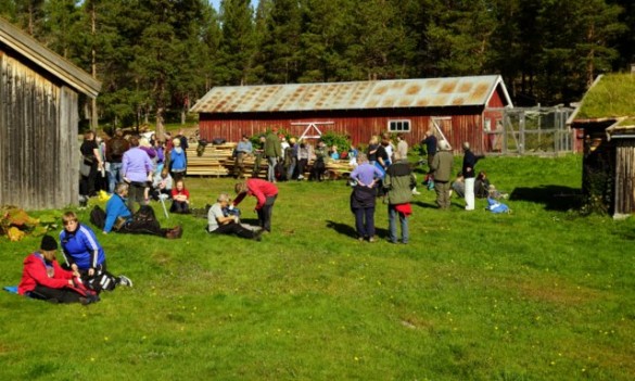 Filksom oppå Bakken. Foto Helge Stikbakke
