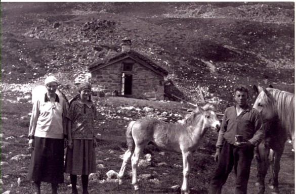 Hos hestgjæteren ved Vulutjern 1925
