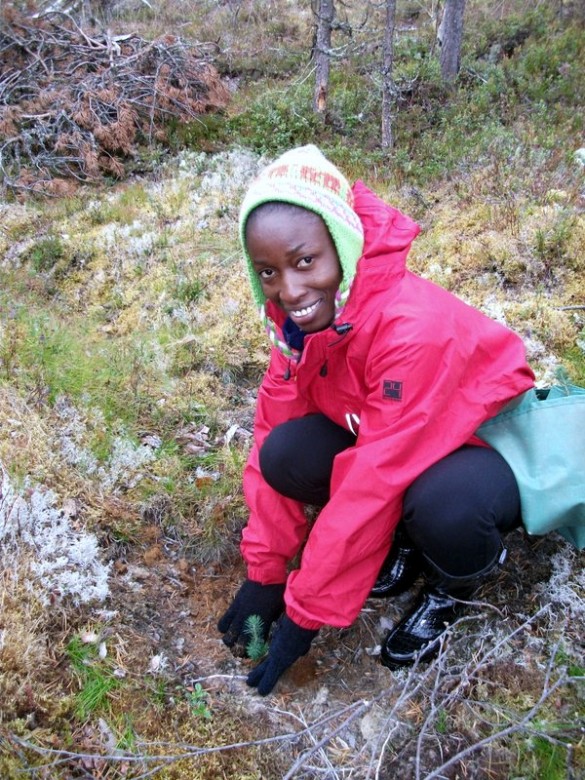 Aïssatou syns de norske plantene er veldig små