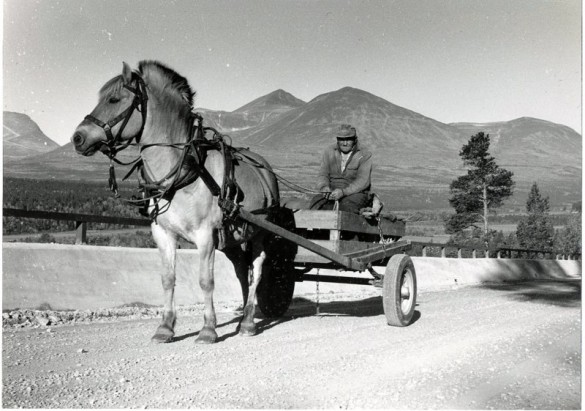 Martinus 1961 foto Sverre Morken
